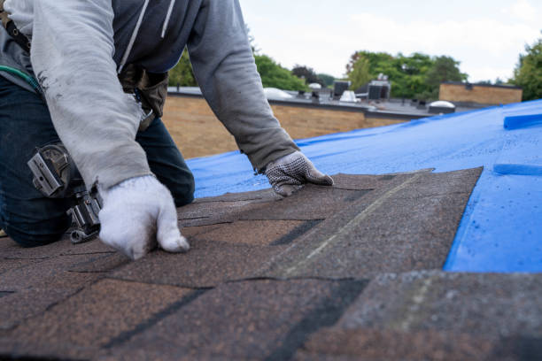 Best Roof Gutter Cleaning  in Port Ludlow, WA